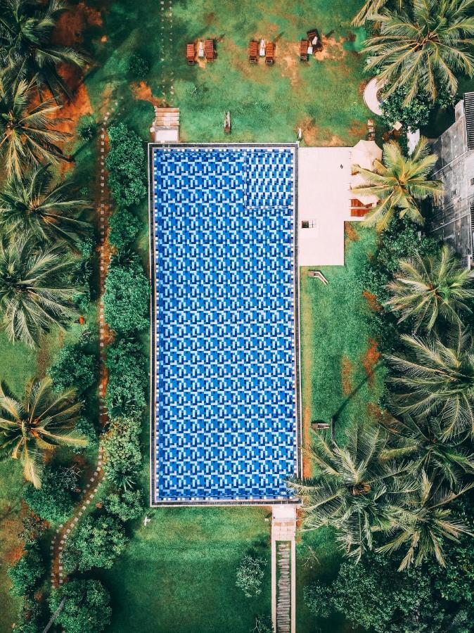 Taprobana By Asia Leisure واديوفا المظهر الخارجي الصورة